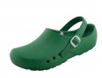 CHIROCLOG-ECONOMY-GREEN-SCHURR.png