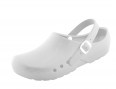 CHIROCLOG-ECONOMY-WHITE-SCHURR.png