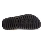 ECCO COZMO - Imagen 5