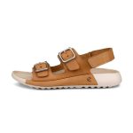 ECCO COZMO W LION