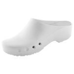 CHIROCLOG CLASSIC